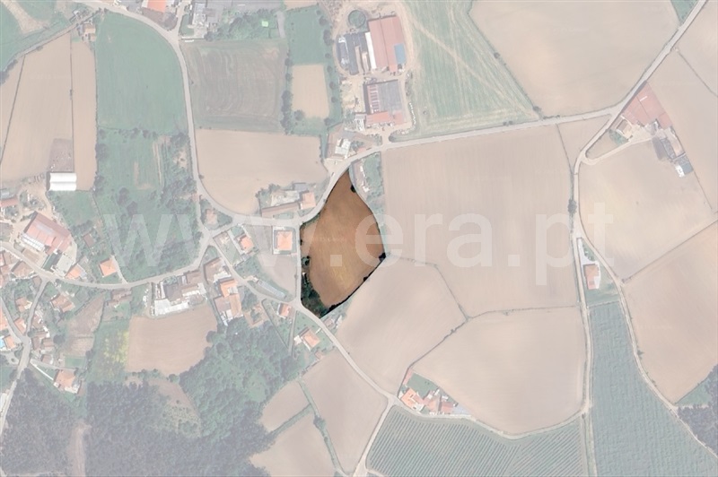 Terreno para Construção / Póvoa de Varzim, Balazar