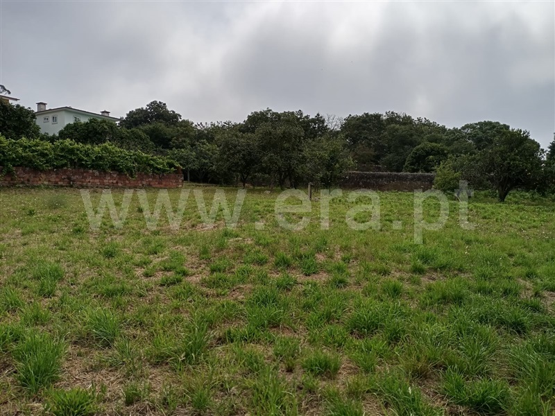 Terreno para Construção / Póvoa de Varzim, Póvoa de Varzim, Beiriz e Argivai