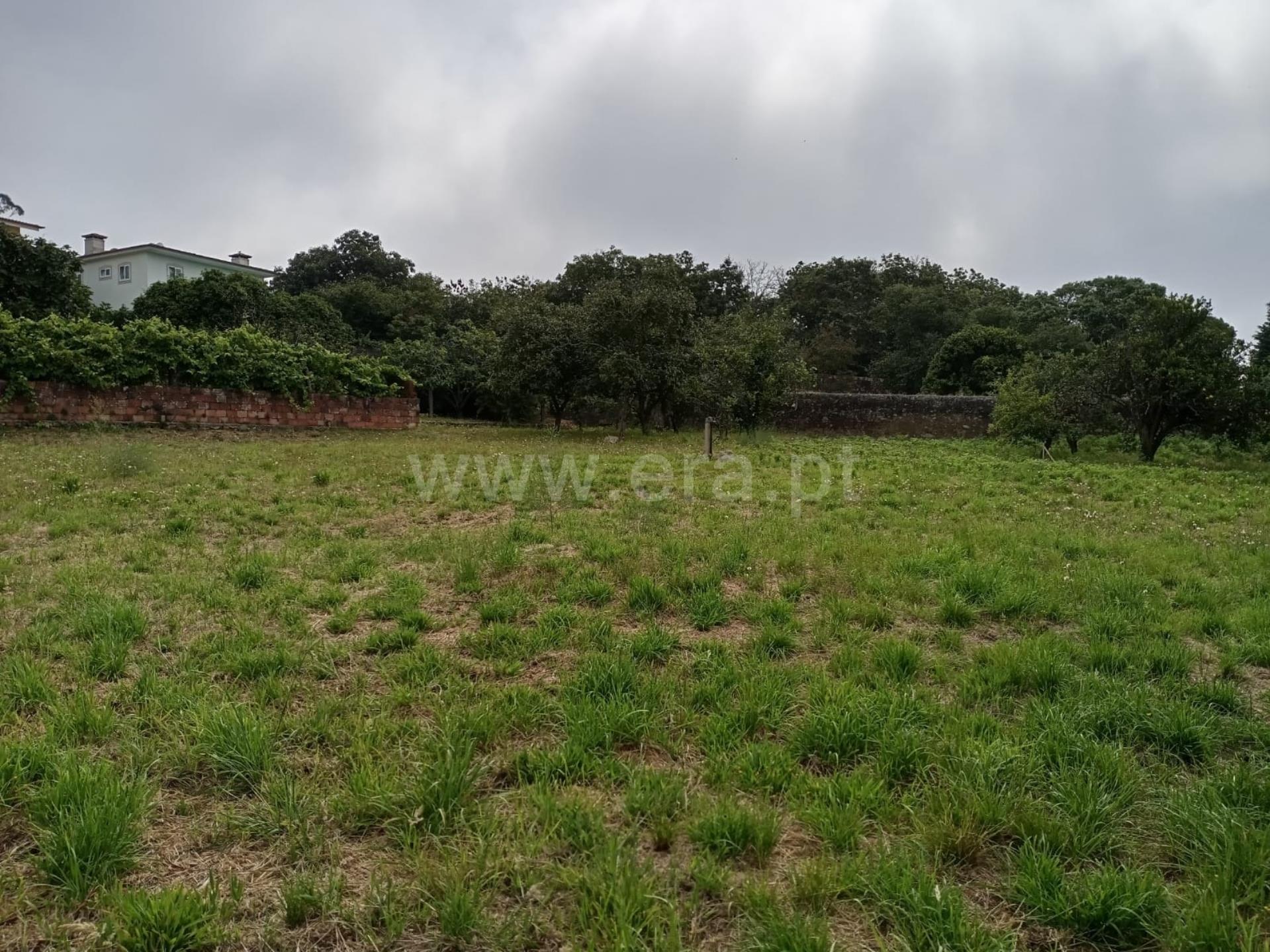 Land for sale in Póvoa de Varzim, Portugal — €180,500