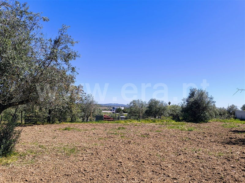 Terreno para Construção / Reguengos de Monsaraz, Reguengos de Monsaraz