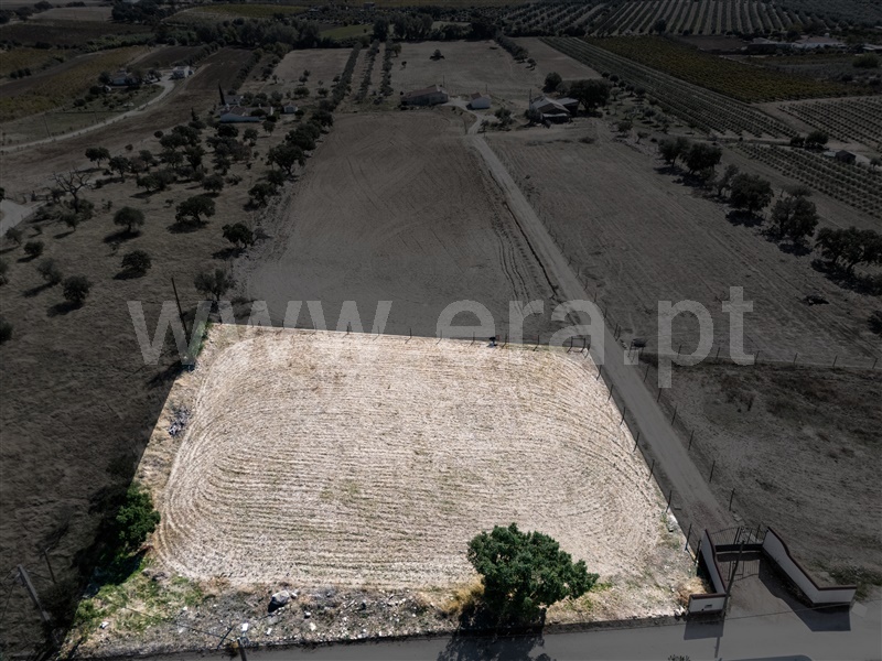 Terreno para Construção / Reguengos de Monsaraz, Reguengos de Monsaraz
