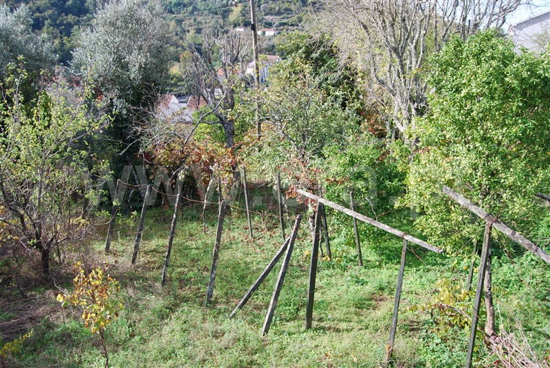 Terreno para Construção  Resende, Anreade e São Romão de Aregos - 1445852 - 5