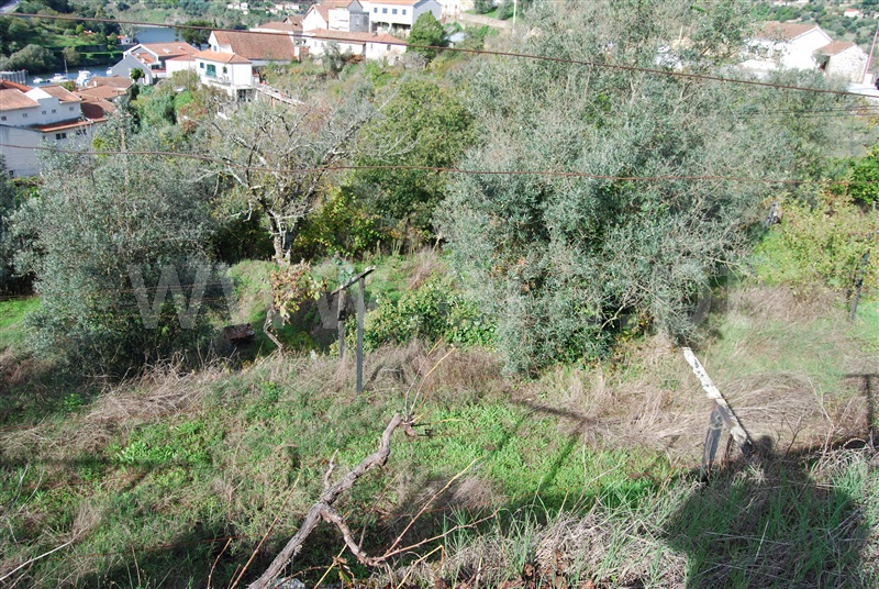 Terreno para Construção  Resende, Anreade e São Romão de Aregos - 1445852 - 9