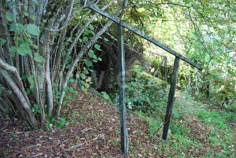 Terreno para Construção  Resende, Anreade e São Romão de Aregos - 1445852 - 10