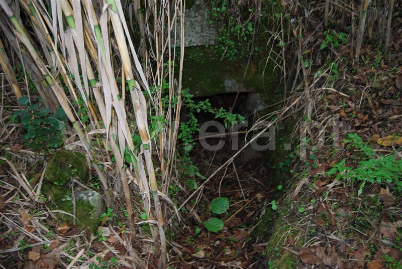 Terreno para Construção  Resende, Anreade e São Romão de Aregos - 1445852 - 11