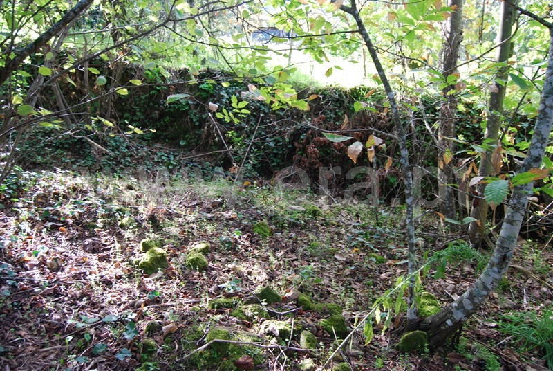 Terreno para Construção  Resende, Anreade e São Romão de Aregos - 1445852 - 12