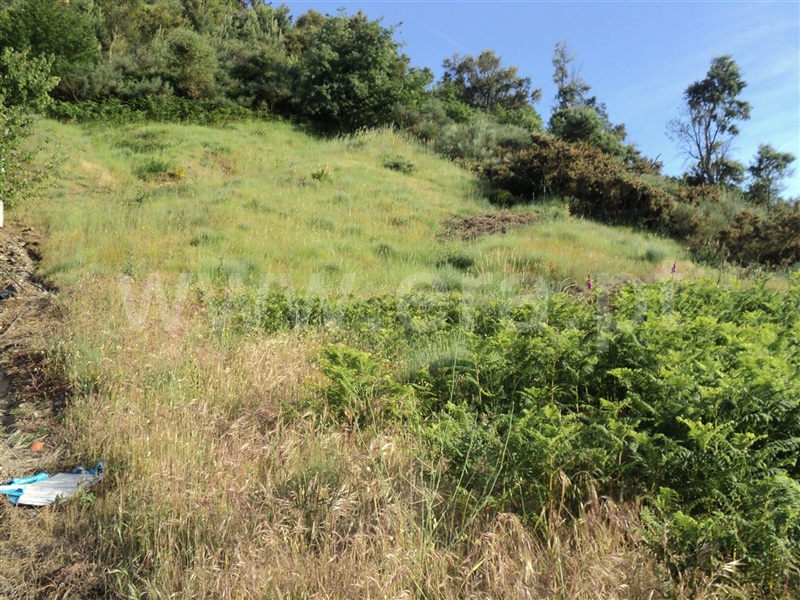 Terreno para Construção  Resende, Rio Douro - 775575 - 1