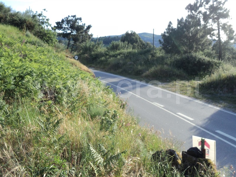 Terreno para Construção  Resende, Rio Douro - 775575 - 3