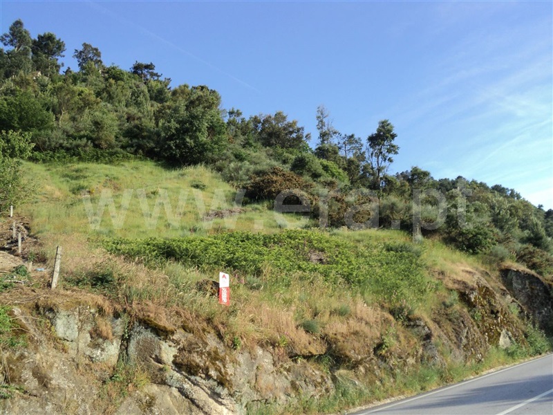 Terreno para Construção  Resende, Rio Douro - 775575 - 4