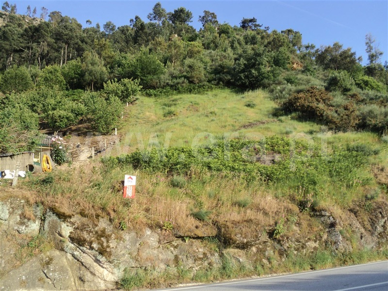 Terreno para Construção  Resende, Rio Douro - 775575 - 5