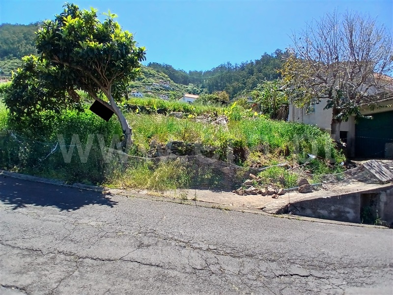 Terreno para Construção / Ribeira Brava, Campanário