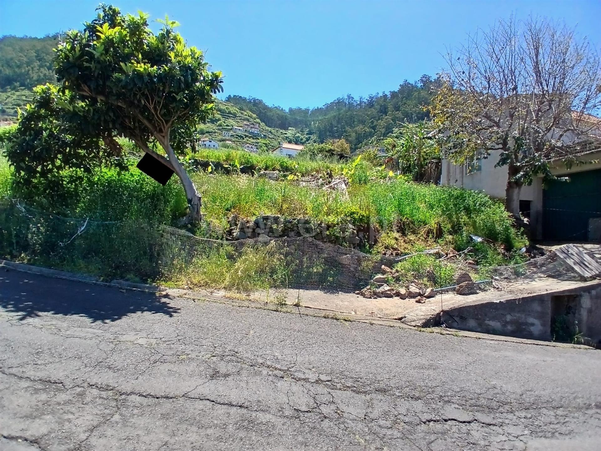 Land for sale in Ribeira Brava, Portugal — €90,000