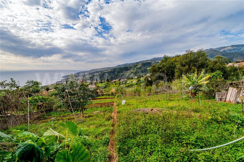 Terreno para Construção / Ribeira Brava, Ribeira Brava