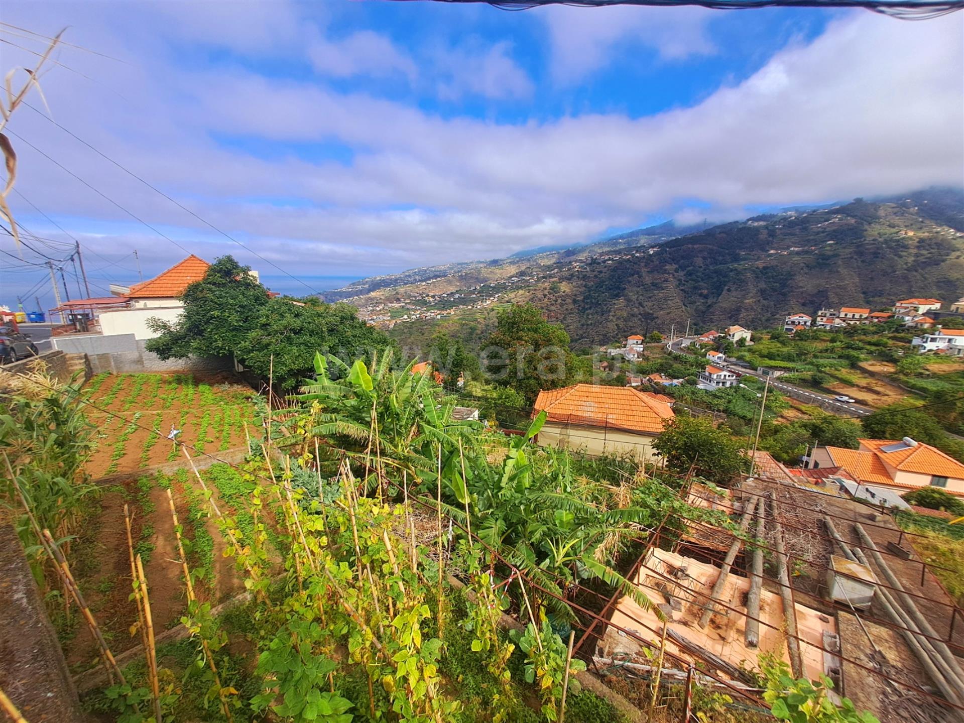Land for sale in Ribeira Brava, Portugal — €120,000