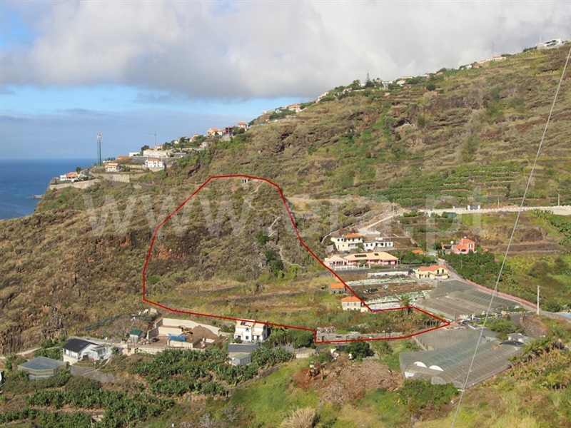Terreno  Ribeira Brava, Tabua - 1361825 - 8