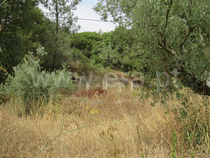 Terreno para Construção  Rio Maior, Arruda dos Pisões - 1261198 - 4