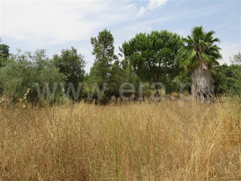 Terreno para Construção  Rio Maior, Arruda dos Pisões - 1261198 - 5