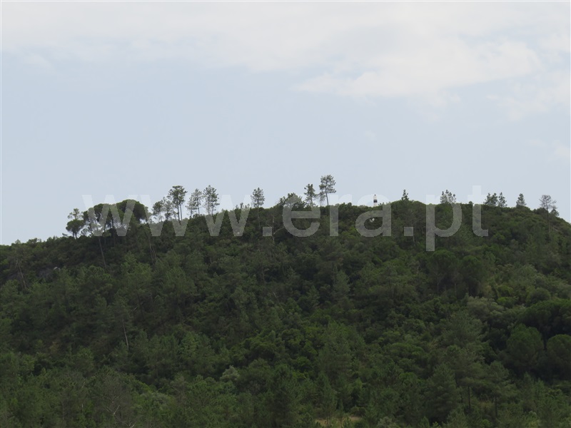 Terreno para Construção  Rio Maior, Arruda dos Pisões - 1261198 - 6