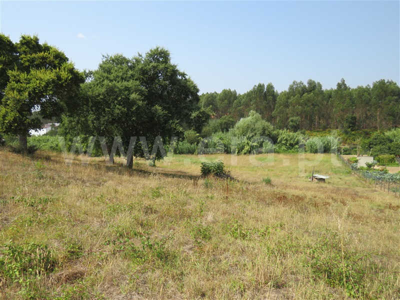 Terreno para Construção / Rio Maior, Asseiceira