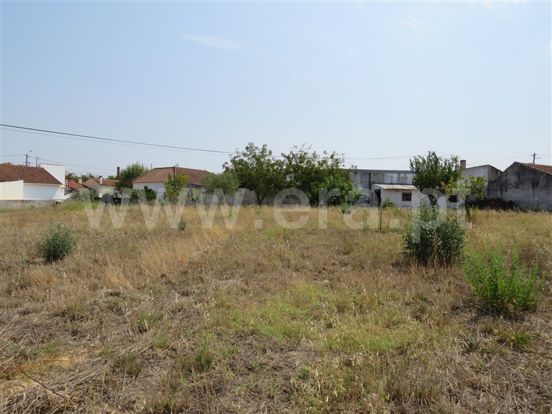Terreno para Construção  Rio Maior, Asseiceira - 1194584 - 3