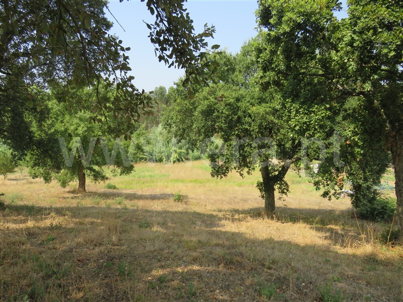 Terreno para Construção  Rio Maior, Asseiceira - 1194584 - 4