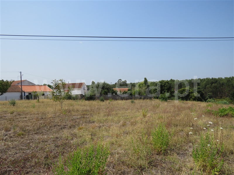 Terreno para Construção  Rio Maior, Asseiceira - 1194584 - 5