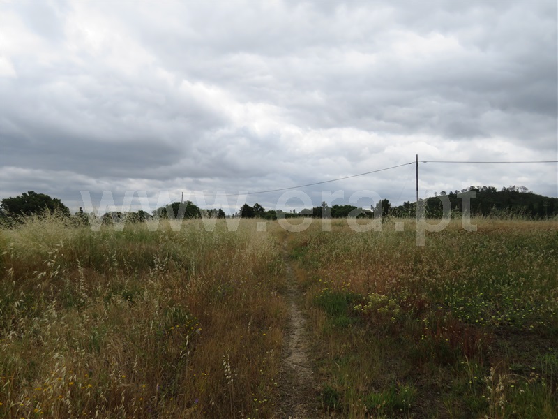 Terreno para Construção  com Urbano Rio Maior, Asseiceira - 1245059 - 4
