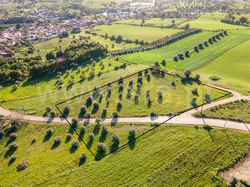 Terreno para Construção / Rio Maior, Malaqueijo