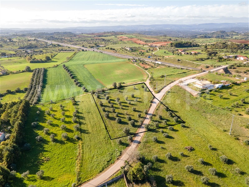 Terreno para Construção  Rio Maior, Malaqueijo - 1291469 - 2