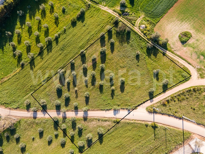 Terreno para Construção  Rio Maior, Malaqueijo - 1291469 - 4
