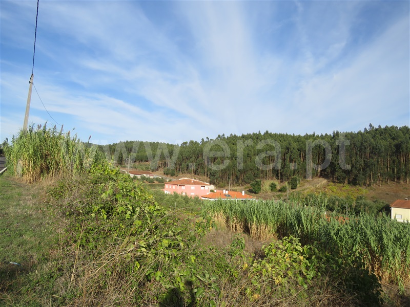 Terreno para Construção / Rio Maior, Pé da Serra