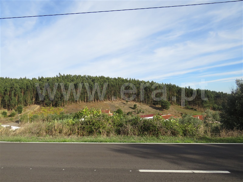 Terreno para Construção  Rio Maior, Pé da Serra - 1510322 - 3
