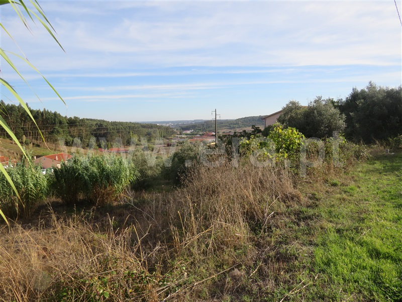 Terreno para Construção  Rio Maior, Pé da Serra - 1510322 - 5