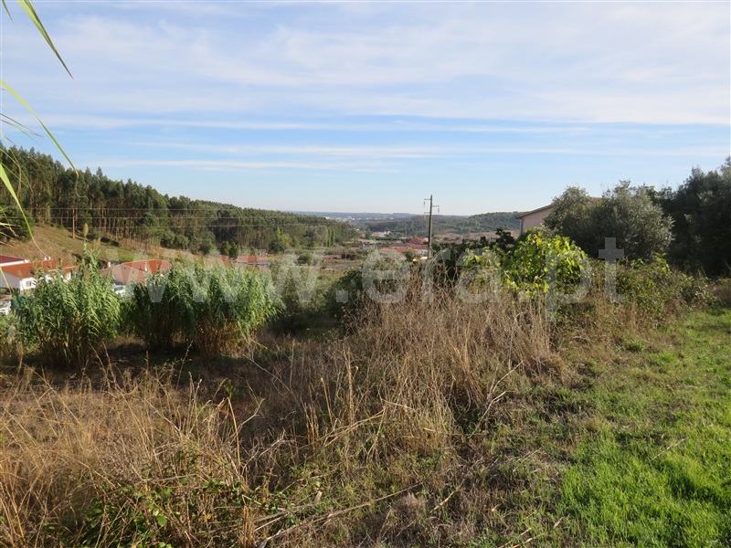 Terreno para Construção  Rio Maior, Pé da Serra - 1510322 - 6