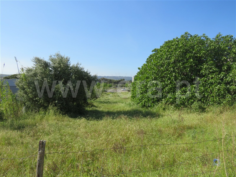 Terreno para Construção  Rio Maior - 1156825 - 2