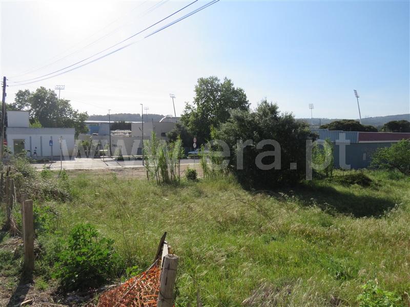 Terreno para Construção  Rio Maior - 1156825 - 3
