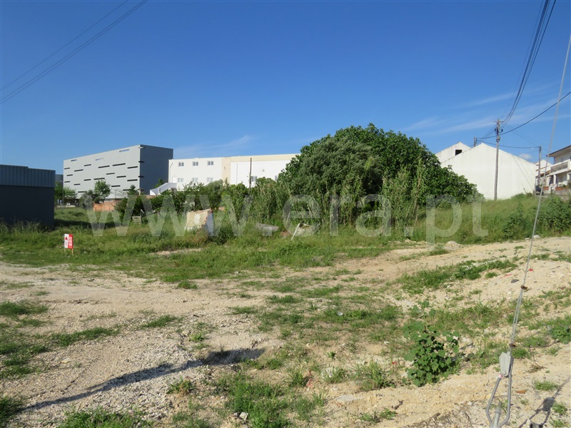 Terreno para Construção  Rio Maior - 1156825 - 5