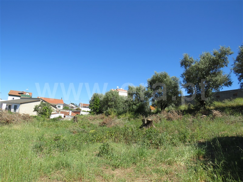 Terreno para Construção  Rio Maior - 1198177 - 3