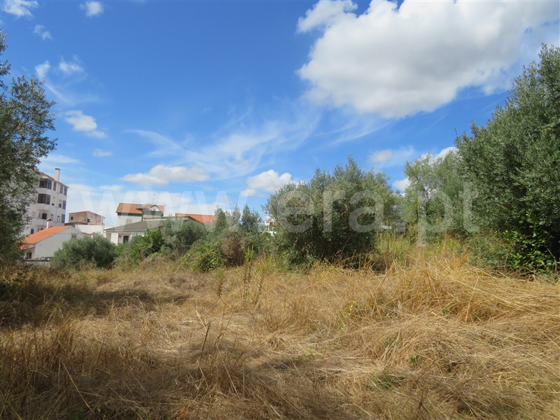 Terreno para Construção  Rio Maior - 1198177 - 5