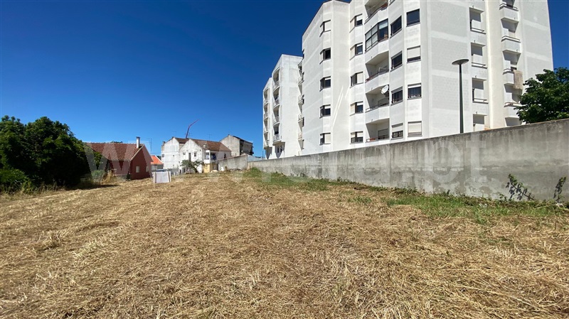 Terreno para Construção  Rio Maior, Rio Maior - 1254106 - 3