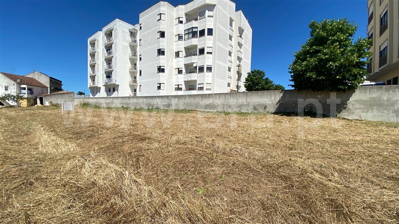 Terreno para Construção  Rio Maior, Rio Maior - 1254106 - 4