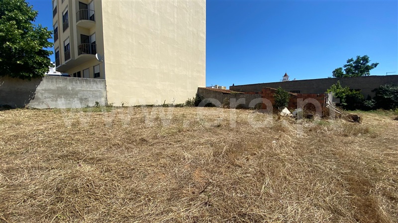 Terreno para Construção  Rio Maior, Rio Maior - 1254106 - 5