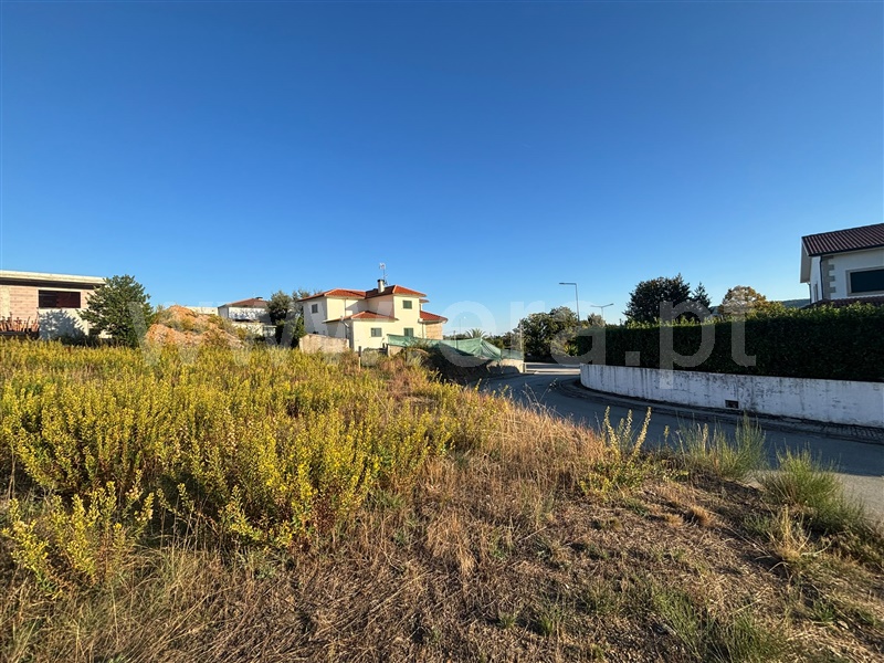 Terreno para Construção / Sabrosa, Paços