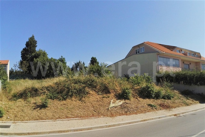 Lote  Sabrosa, São Martinho de Antas e Paradela de Guiães - 1193928 - 3