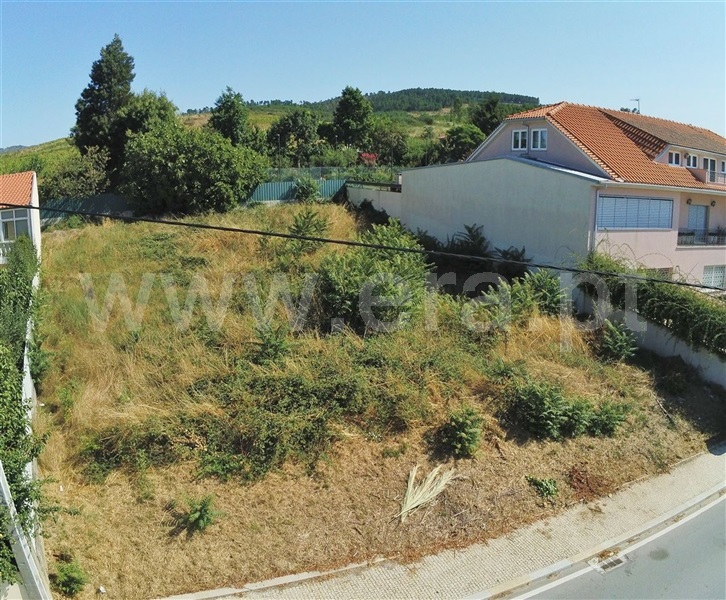 Lote  Sabrosa, São Martinho de Antas e Paradela de Guiães - 1193928 - 5