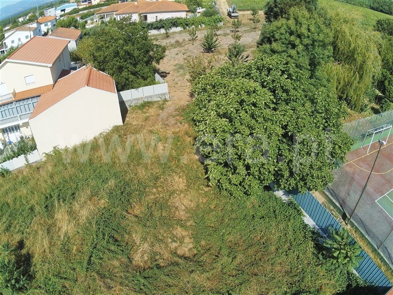 Lote  Sabrosa, São Martinho de Antas e Paradela de Guiães - 1193928 - 6