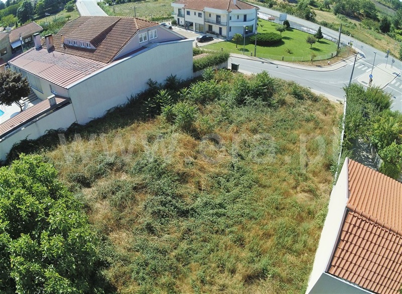 Lote  Sabrosa, São Martinho de Antas e Paradela de Guiães - 1193928 - 4