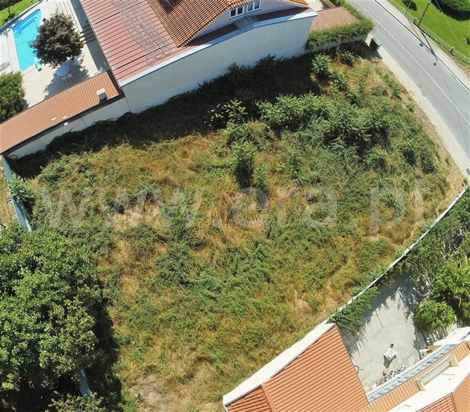 Terreno para Construção / Sabrosa, São Martinho de Antas e Paradela de Guiães