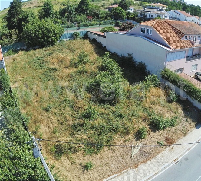 Lote  Sabrosa, São Martinho de Antas e Paradela de Guiães - 1193928 - 1