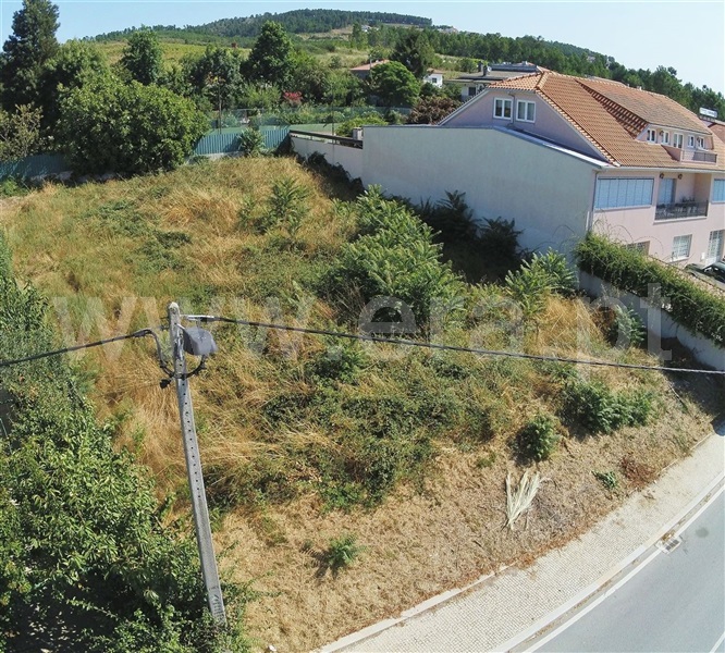 Lote  Sabrosa, São Martinho de Antas e Paradela de Guiães - 1193928 - 7